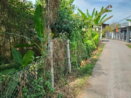 Bán đất thổ cư 251.6m² chính chủ tại Xã An Hiệp Huyện Châu Thành Đồng Tháp