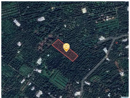 Bán đất 2725m² Huyện Cai Lậy
