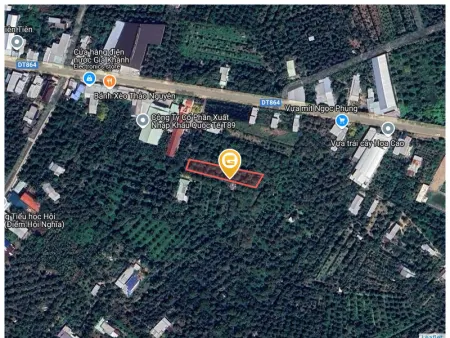 Bán đất 995.1m² Huyện Cai Lậy
