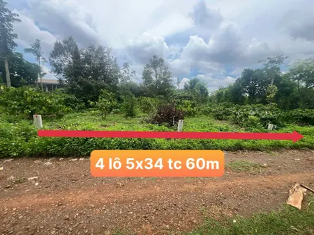 Bán đất thổ cư 150m² ngang 5m giá 259 triệu tại Xã Ea Ning Huyện Cư Kuin