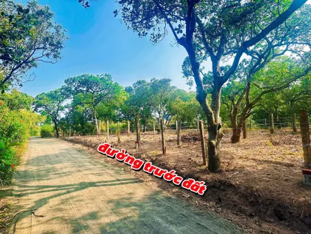 Bán đất 1110m² giá 179 triệu tại Xã Ea Kmút Huyện Ea Kar