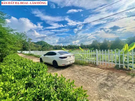 Bán đất Đạ Hoai - Lâm Đồng, gần UBND giá chỉ 279tr/ lô