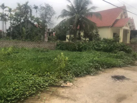 Bán đất 40m² ngang 4m giá 650 triệu tại Hoàng Động Thuỷ Nguyên. liên hệ 0362558882