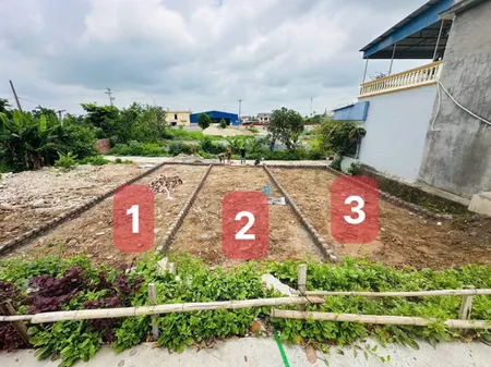 Fo Đông sơn - Thuỷ Nguyên