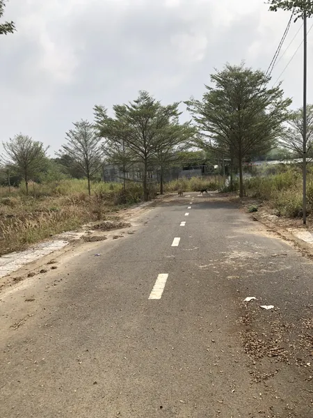 Bán 118m2 đất ở 1 sẹc Nguyễn Hoàng, xã Trảng Bom, tỉnh Đồng Nai