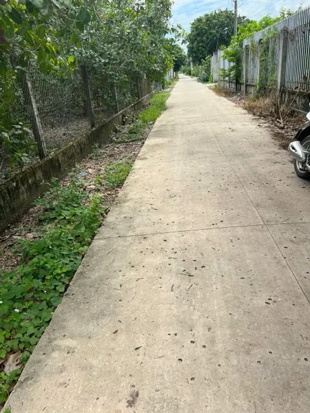 Bán đất 420.8m² ngang 8m giá 800 triệu tại Xã Thạnh Đông Huyện Tân Châu
