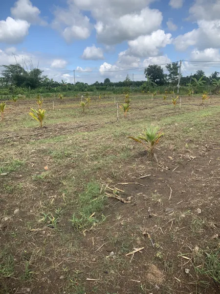 Bán đất 1001m² giá 680 triệu tại Xã Suối Nho Huyện Định Quán