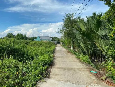 Bán đất 1635,6m² giá 6.7 tỷ tại Xã An Thới Đông Huyện Cần Giờ