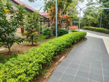 Bán đất 6450m² ngang 50m giá 16 tỷ tại Xã Tân Nhựt Huyện Bình Chánh