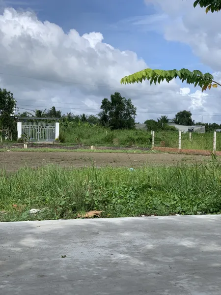 ĐẤT NỀN CÁNH ĐỒNG DIỀU ,ĐỨC HOÀ LONG AN GIÁ RẺ
