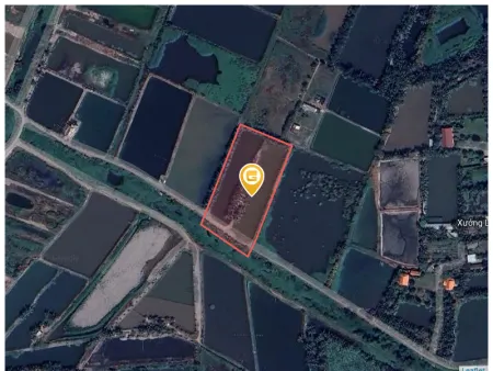 Bán đất 1600m² ngang 20m giá 3.5 tỷ tại Xã Bình Lợi LH: 0909036285