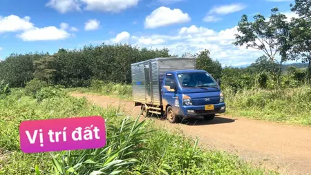 Đất mặt tiền đường nhựa Trần The 280 TR/1050m2 ngang 10m