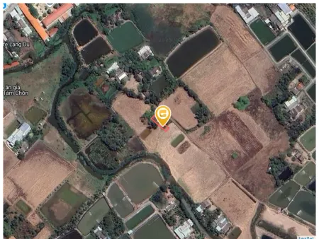 Bán đất 193.7m² ngang 7.4m giá 600 triệu tại Xã Tân Tập Huyện Cần Giuộc
