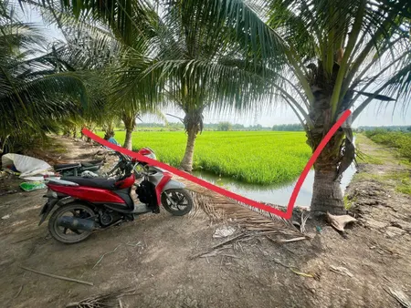 Bán đất 3992.2m² ngang 30m giá 2.7 tỷ tại Xã Hòa Khánh Tây Huyện Đức Hòa
