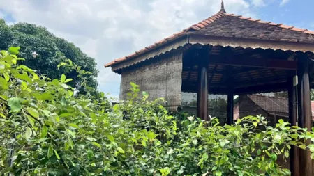 Bán nhà vườn