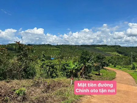 Đất thổ cư 2 mặt tiền trước sau 450 Triệu/1270m2(200m2 thổ cư)