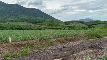 KHÁNH NAM -- 2034 M2 -- 35M BÊ TÔNG -- THÍCH HỢP LÀM NHÀ YẾN -- GIÁ CHỈ 550 TRIỆU -- 0961481675