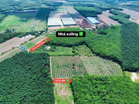 Đất tại khu vực Quang Minh, Chơn Thành