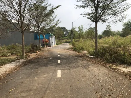 118m2 thổ cư 1 sẹc Nguyễn Hoàng, xã Trảng Bom, tỉnh ĐN 950 triệu