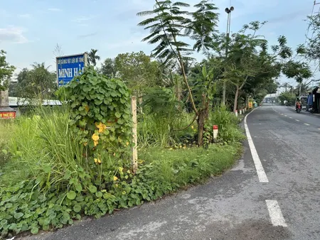 Cho thuê đất 2 mặt tiền – Vị trí đắc địa tại Hóc Môn, TP. HCM