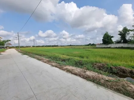 Bán đất 1991.1m² ngang 117m giá 110 triệu tại Xã Hòa Khánh Tây Huyện Đức Hòa