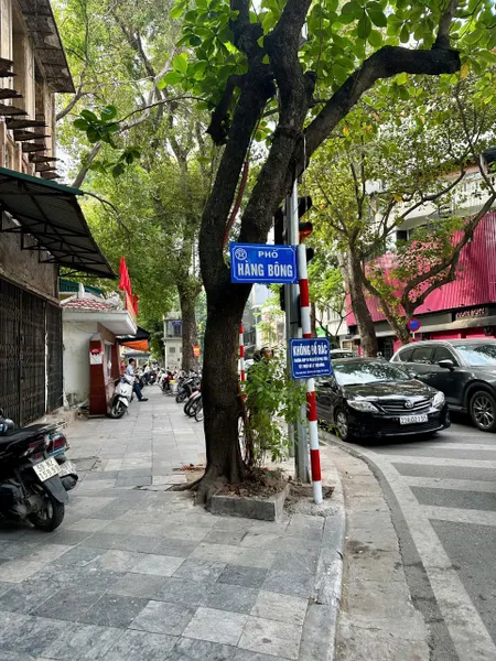 Bán nhà phố Hàng Bông trong ngõ 43m – Hoàn Kiếm
