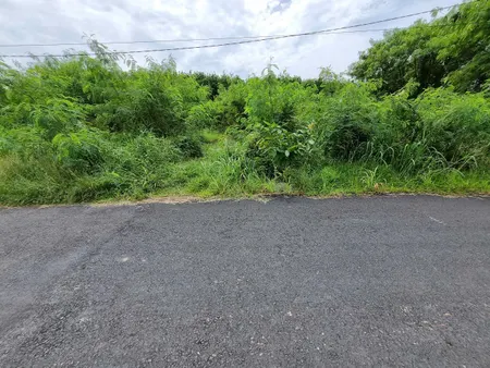 (S656) Đất gần Sông Sài Gòn, xã Phú Mỹ Hưng, dt 156m2. thổ 133m2, giá 1 tỷ 100
