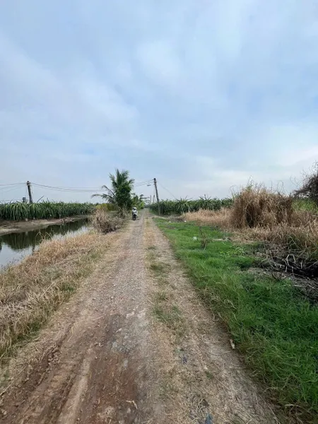 Bán đất 100m² ngang 5,5m giá 295 triệu tại Xã Phước Tân Hưng Huyện Châu Thành Long An
