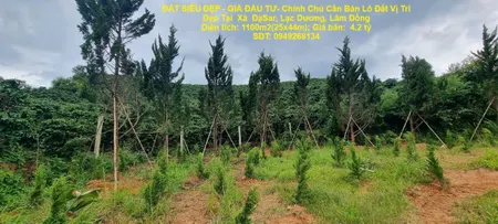 ĐẤT SIÊU ĐẸP - GIÁ ĐẦU TƯ- Chính Chủ Cần Bán Lô Đất Vị Trí Đẹp Tại  Xã  ĐạSar, Lạc Dương, Lâm Đồng