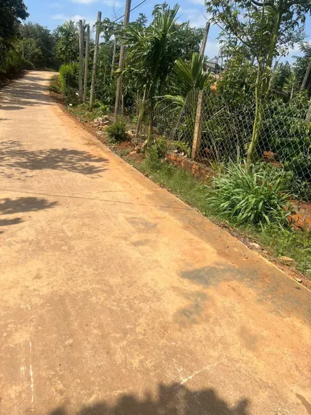 Bán đất 181.6m² ngang 6m giá 229 triệu tại Xã Ea Ning Huyện Cư Kuin