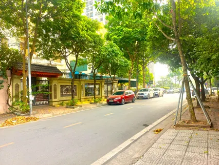 Biệt thự Cầu Giấy- 307m, 4 thoáng, MT 15m, có Hầm, Đẳng cấp thượng lưu