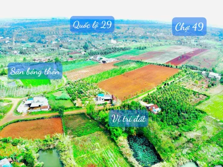 Bán đất 551m² ngang 7,41m nở hậu 8m giá 240 triệu tại Xã Phú Xuân Huyện Krông Năng