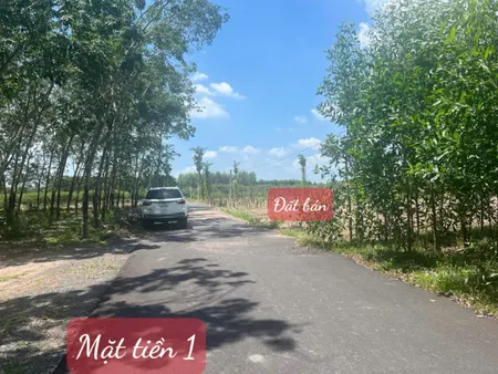 Đất mặt tiền Nhựa 8300m² 2mt ngang 70m giá 5.3 tỷ tại Xã Hòa Hội Huyện Xuyên Mộc