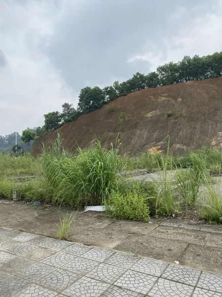 Bán đất 100m² ngang 5m giá 4.2 tỷ tại Phường Yên Ninh Thành phố Yên Bái
