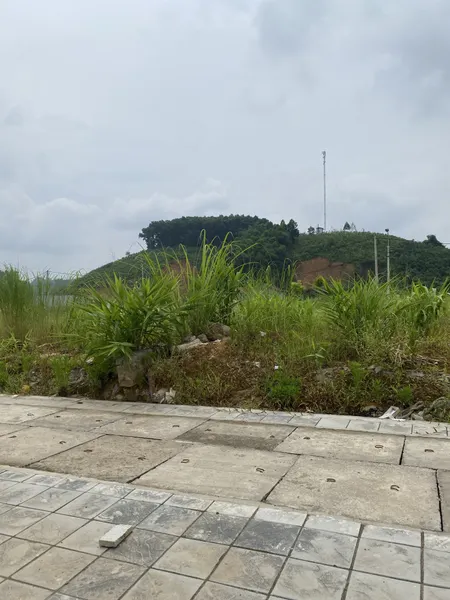 Bán đất 100m² ngang 5m giá 3 tỷ tại Phường Yên Ninh Thành phố Yên Bái