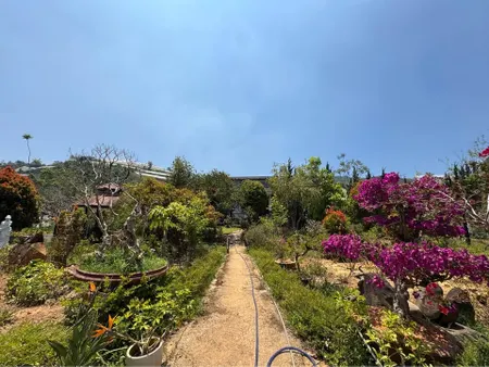 Cần Bán Nhà Đất Mặt tiền đường nhựa chính Cam Ly Phường 5, Đà Lạt đối diện điểm Du lịch Pupyfarm