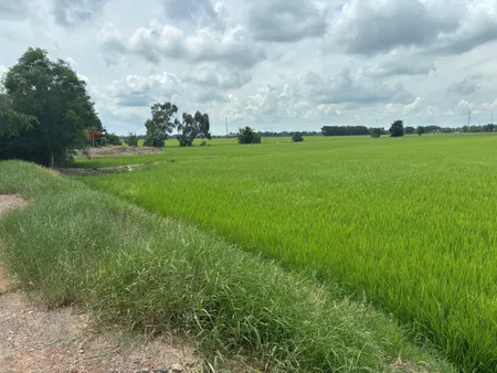 Bán đất full thổ cư, đường đá, p3 kiến tường loang an