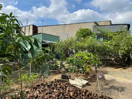 Bán đất 461.6m² ngang 15.5m giá 10.5 tỷ tại Phường Tân Bình Thị xã Dĩ An