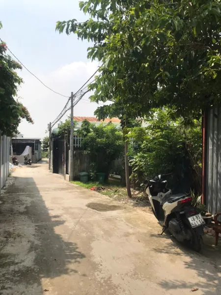 Đất full thổ, 120m2 xã Thới Tam Thôn, Hóc Môn. SHR bao sang tên, giá 3 tỷ 2