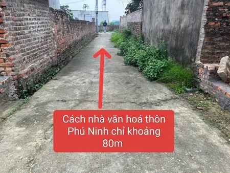 Bán đất 100m² ngang 5,3m tại Xã Minh Phú Huyện Sóc Sơn