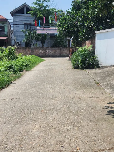 Bán đất 100m² ngang 8m tại Xã Hiền Ninh Huyện Sóc Sơn