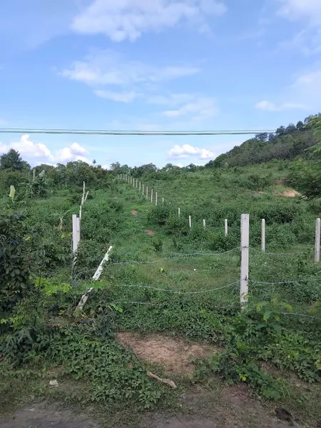 Bán đất 777.8m² ngang 8m giá 450 triệu tại Xã Cư ÊBur Thành phố Buôn Ma Thuột