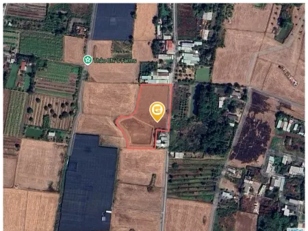 Bán đất 1000m² giá 10.5 tỷ tại Xã Bình Chánh Huyện Bình Chánh
