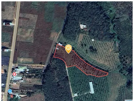 Bán đất 6835.3m² giá 2 tỷ tại Xã Đắk Kan Huyện Ngọc Hồi