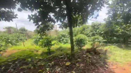 💥 4ha đất trống Ia Hrung gần ngã tư Hồ Chí Minh