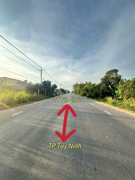 Đất Ngộp Cần Bán Gấp