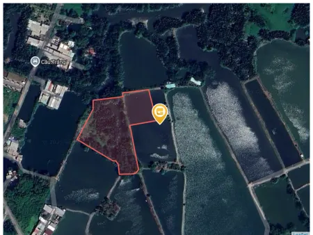 Bán đất 7000m² giá 23.1 tỷ tại Xã Bình Hưng Huyện Bình Chánh