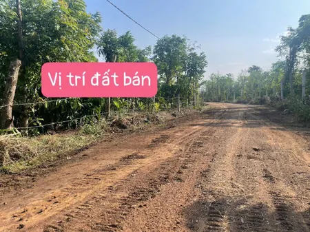 Bán đất 1000m² ngang 15m giá 245 triệu tại Xã Ea BHốk Huyện Cư Kuin