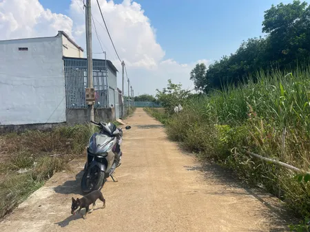 📍 Tây Hòa Trảng Bom – Đất nền sổ riêng, giá chỉ 785 triệu!