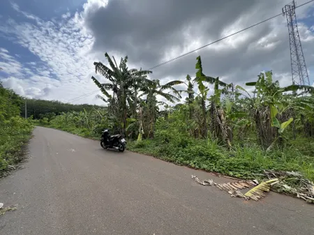 Bán 3 lô đất sát nhau. Mỗi lô có 100m thổ cư